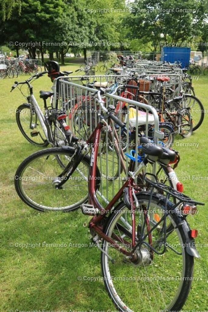 IMG_5109 | aragon-pics - Realisiert mit Pictrs.com