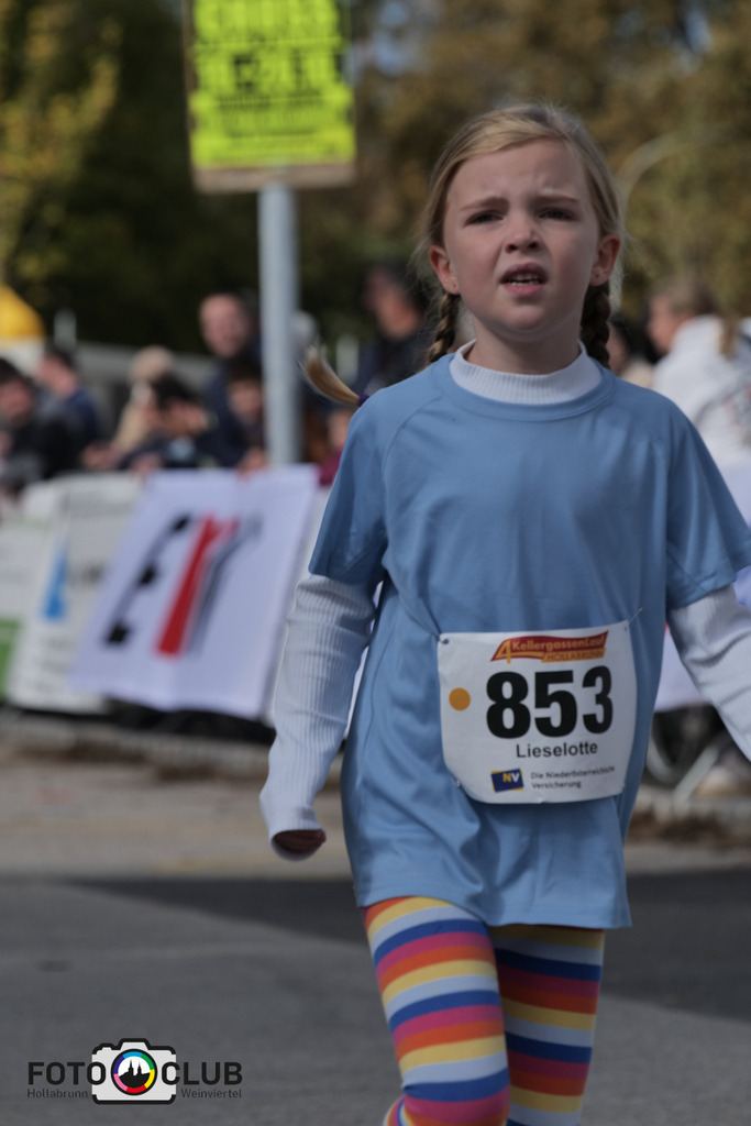 P1039082 | Foto Buchgraber