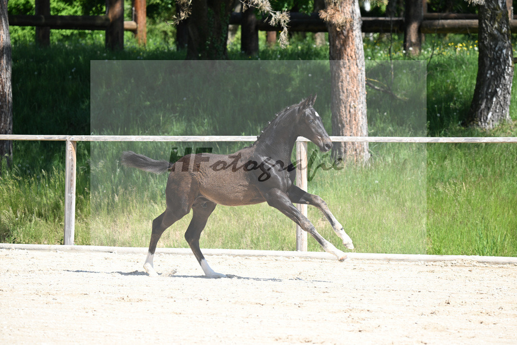 Escaneno x Negro_HF_Eder_10250081 | hf-fotografie - Realizzato con Pictrs.com