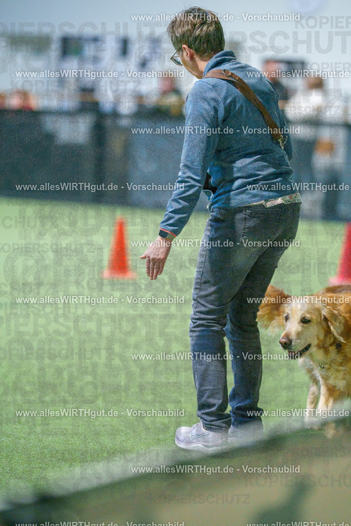 7R500715 | Professionelle Tierfotografie in Mönchengladbach von Daniel Wirth (allesWIRTHgut). Liebevolle & natürliche Bilder von Hunden & Katzen für unvergessliche Erinnerungen.