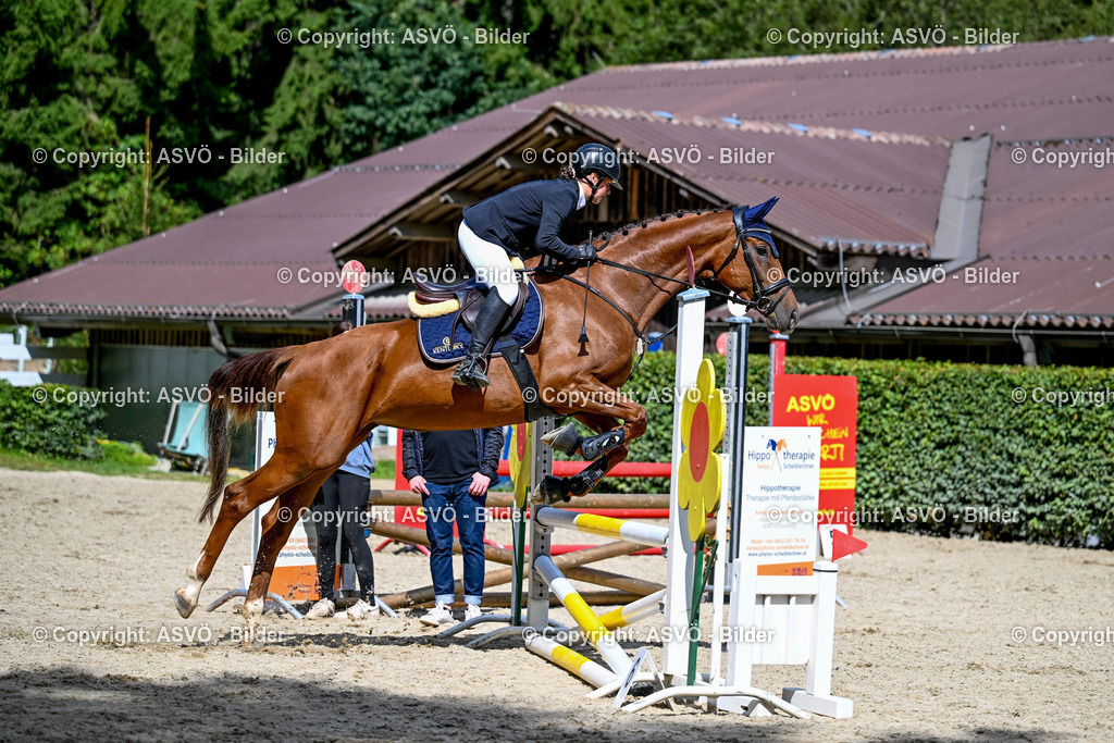 ASVÖ_ Reiten Bezirksmeisterschaft_ 24.08.2025-118 | 24.08.2025, AUT, ASVÖ, Reiten Bezirksmeisterschaft 2025Dressur und Springreiten©fodo.media / Harald Dostal - Realisiert mit Pictrs.com