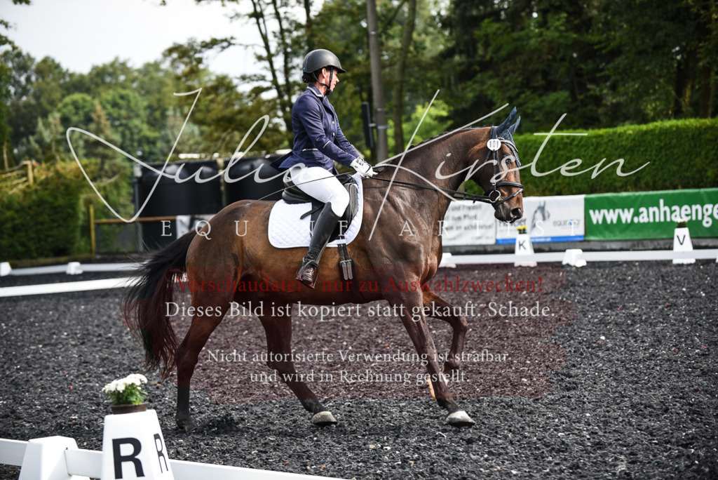 DSC_3034 | Pferde- und Turnierfotografie in Westsachsen. Pferdeportraits, Auftragszeichnungen und intuitive Kunst.