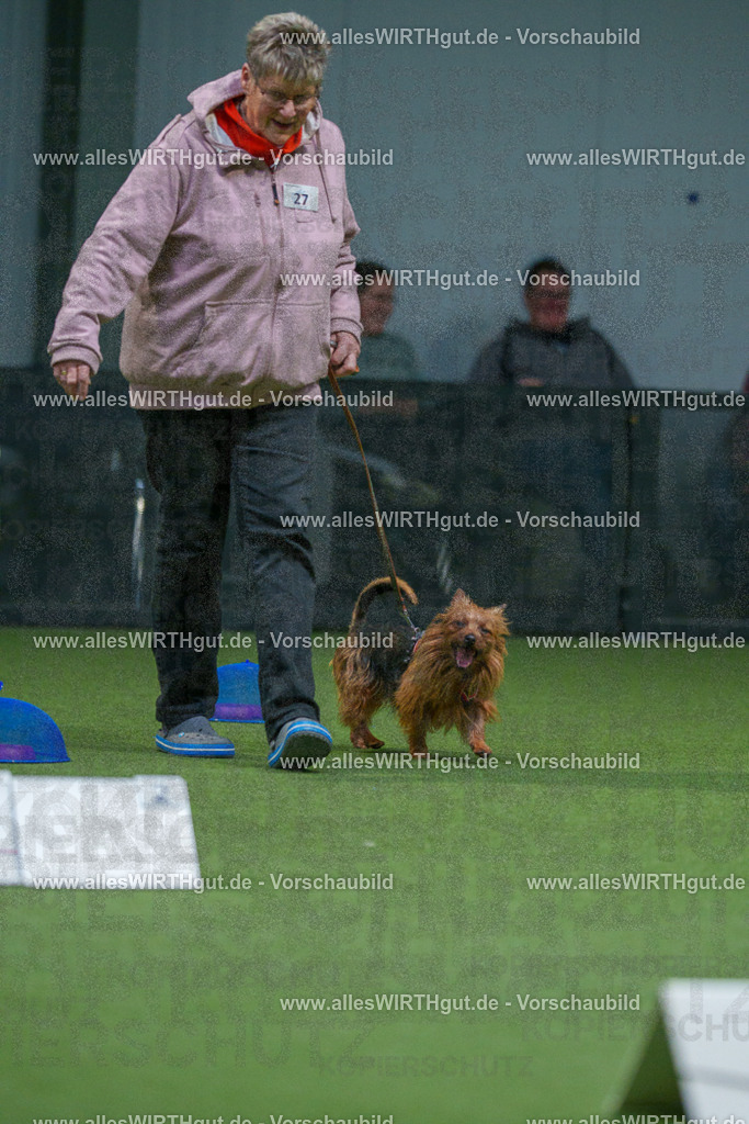 7R500394 | Professionelle Tierfotografie in Mönchengladbach von Daniel Wirth (allesWIRTHgut). Liebevolle & natürliche Bilder von Hunden & Katzen für unvergessliche Erinnerungen.