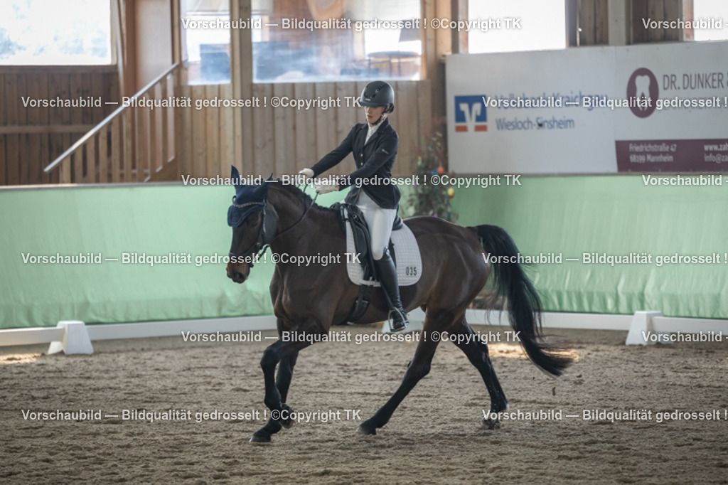 _D5A8386 | Emotionale Pferde- & People-Fotografie rund um Heidelberg, Leimen & Umgebung. Natürliche Fotos von Pferd, Mensch & Familie. Jetzt Termin sichern!