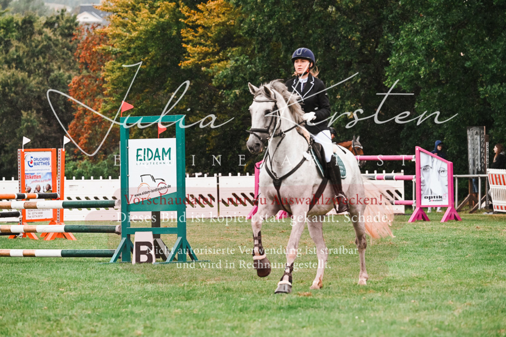 DSC_6619 | Pferde- und Turnierfotografie in Westsachsen. Pferdeportraits, Auftragszeichnungen und intuitive Kunst.
