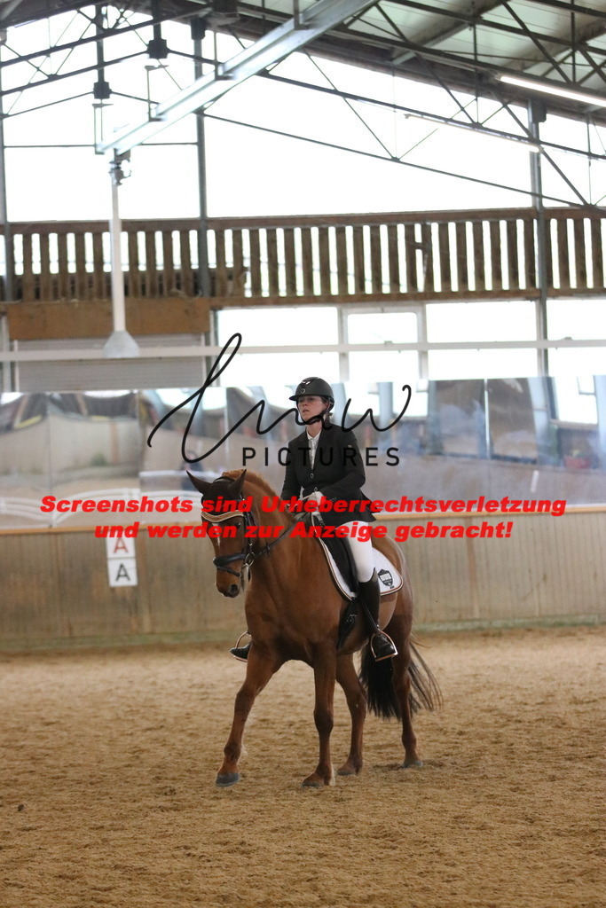 IMG_6964 | lmwpictures - Realisiert mit Pictrs.com