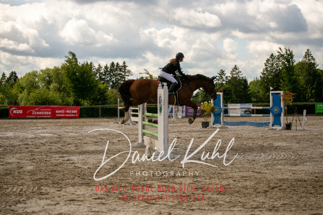 IMG_5538 | Turniersportfotografie; Pferdefotografie; Dressurfotografie