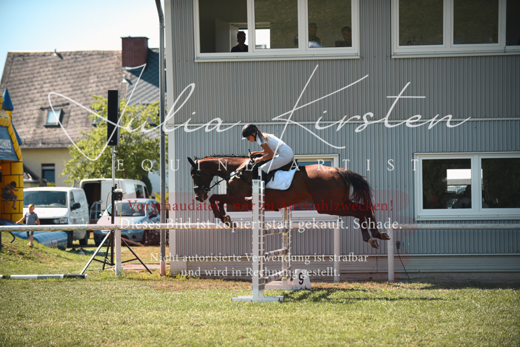DSC_7039 | Pferde- und Turnierfotografie in Westsachsen. Pferdeportraits, Auftragszeichnungen und intuitive Kunst.