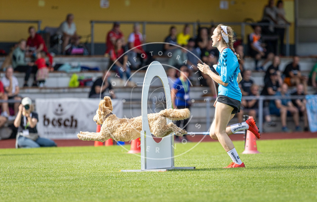 Pfotenfotografie_DV3A1065 | Hundefotografie, Tierfotograf, Pfotenfotografie, Fotoshooting Hund, Hunde Portrait, Hundesport, Hundeportraits, Heideshooting, Hunde, Sportfotograf, Hundefotograf, Turnierhundsport, THS,  - Realisiert mit Pictrs.com