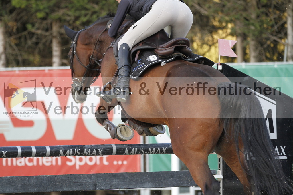 _MG_0297 | equestrian-live-com