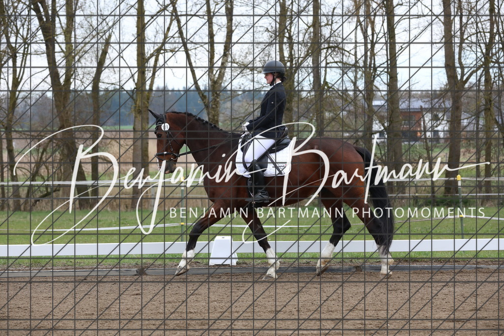 AZ2A3975 | Benjamin Bartmann Photomoments