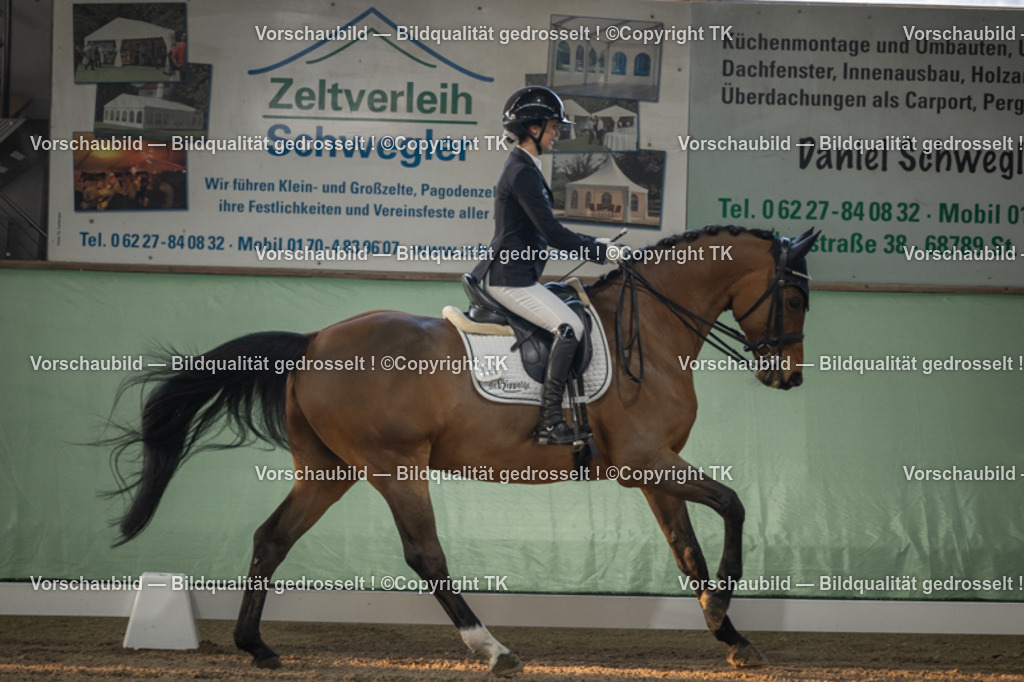 _D5A3882 | Emotionale Pferde- & People-Fotografie rund um Heidelberg, Leimen & Umgebung. Natürliche Fotos von Pferd, Mensch & Familie. Jetzt Termin sichern!