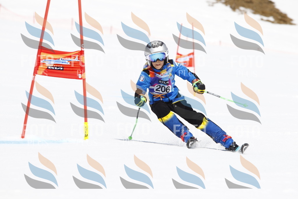 _U3G5348 | holidayphoto