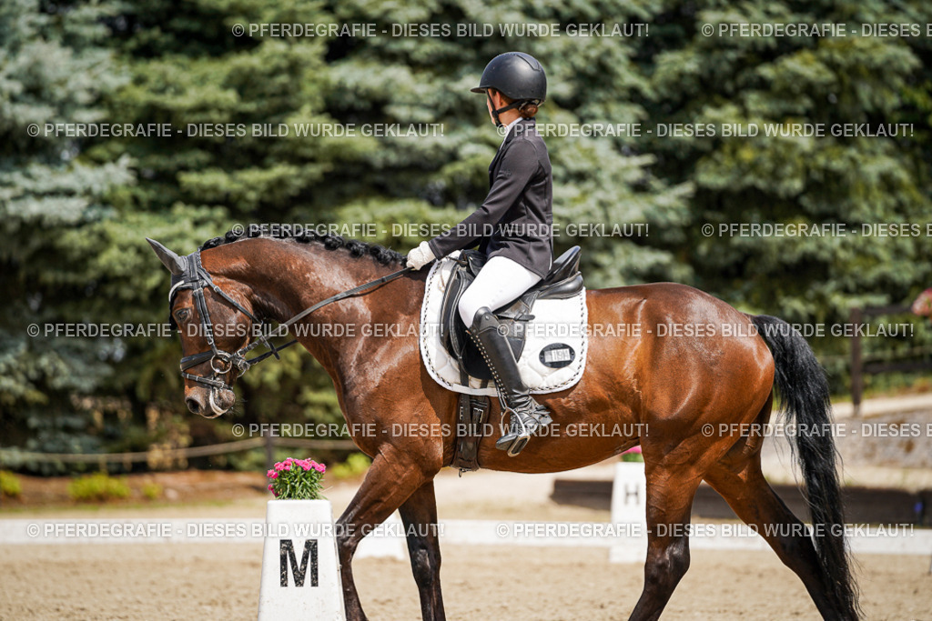 DSC02982 | Pferdegrafie