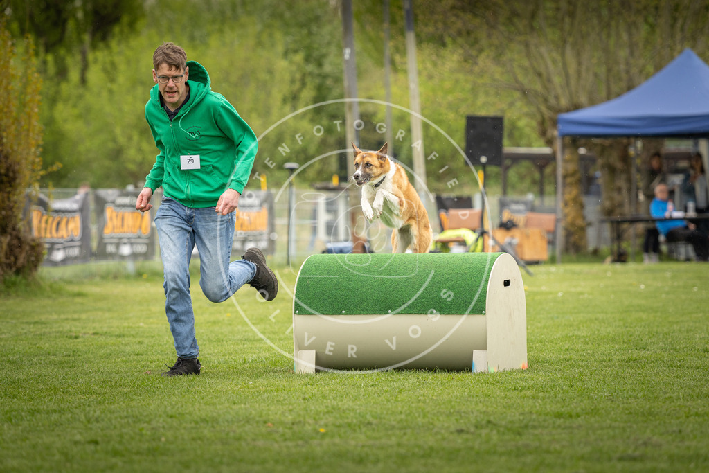 Pfotenfotografie_DV3A3325 | Hundefotografie, Tierfotograf, Pfotenfotografie, Fotoshooting Hund, Hunde Portrait, Hundesport, Hundeportraits, Heideshooting, Hunde, Sportfotograf, Hundefotograf, Turnierhundsport, THS,  - Realisiert mit Pictrs.com