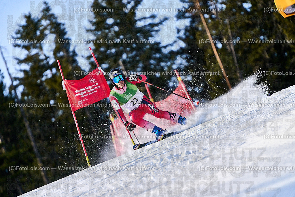 _ALP9768_FIS-Masters-GS-I_Glungezer_Soave Zenone | FIS-MASTERS-WorldCup am Glungezer, GiantSlalom-I, Sa 17. Jänner 2026.