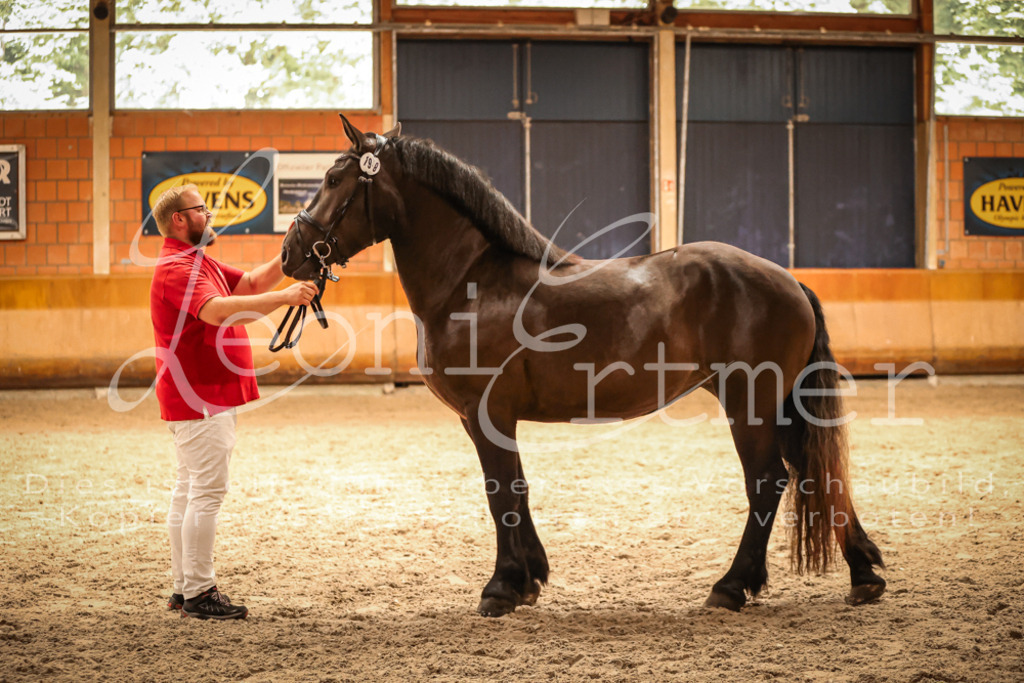 SaFL00372 | Leoni Ertmer Photography - Realisiert mit Pictrs.com