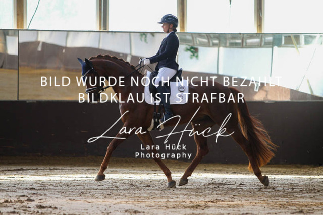DKP45701 | larahueckfotografie