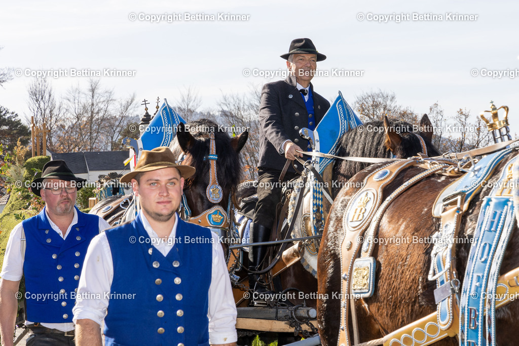LBT24-1546 | foto-bettina-krinner - Realisiert mit Pictrs.com