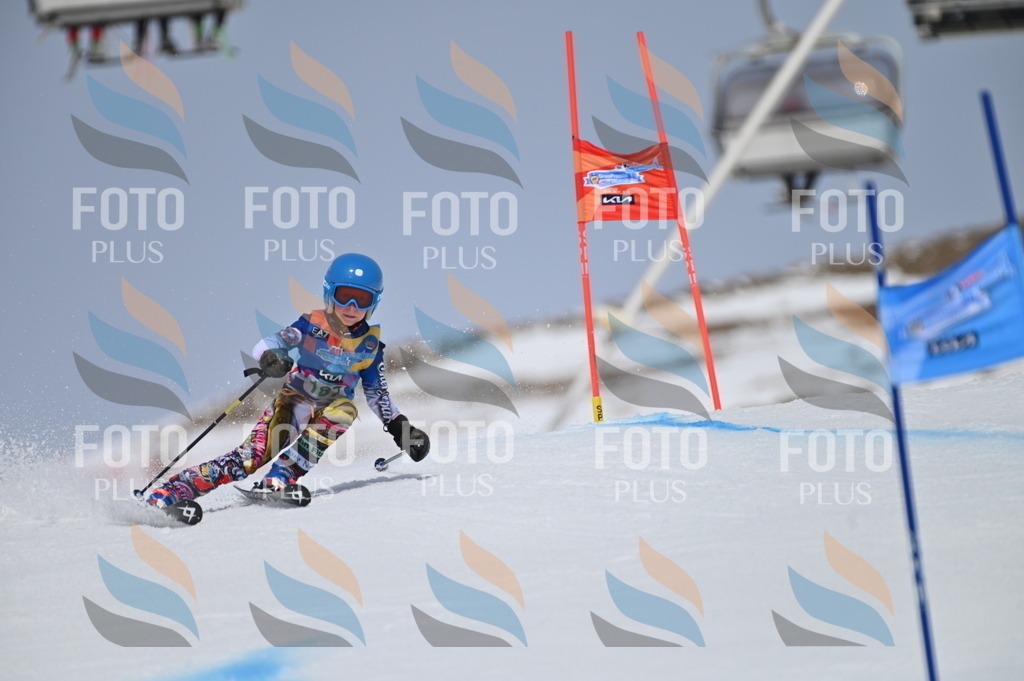 BGV_3630 | holidayphoto