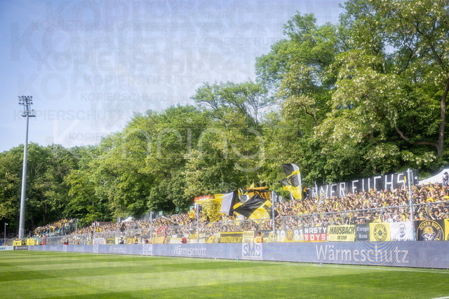German 3rd Division, Viktoria Koeln vs. Alemannia Aachen, 10.05.2026 | KOELN, GERMANY - MAY 10, 2026: Fans of Alemannia Aachen during the 3rd division match on gameday 37 between Viktoria Koeln vs. Alemannia Aachen at the Sportpark Hoehenberg on May 10, 2026 in Koeln, Germany. DFL REGULATIONS PROHIBIT ANY USE OF PHOTOGRAPHS AS IMAGE SEQUENCES AND/OR QUASI-VIDEO.