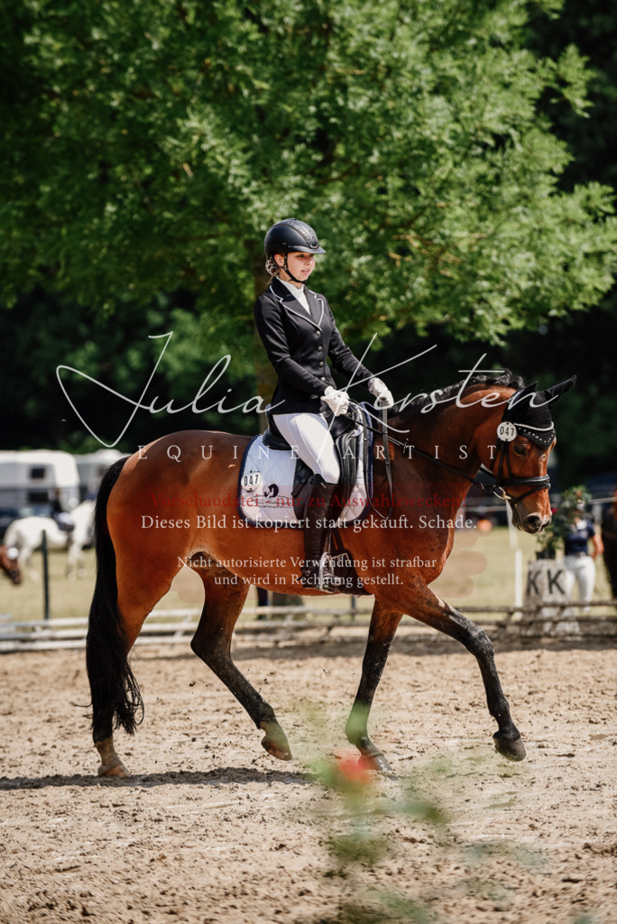 DSC_0952 | Pferde- und Turnierfotografie in Westsachsen. Pferdeportraits, Auftragszeichnungen und intuitive Kunst.