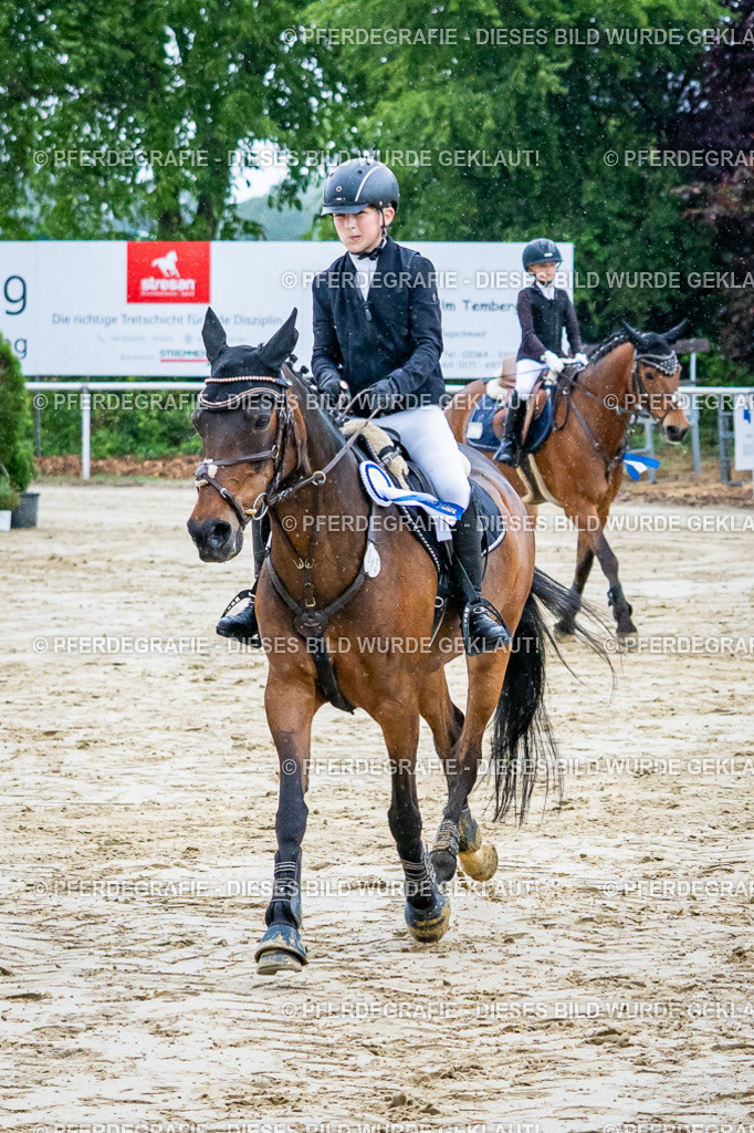 DSC01527 | Pferdegrafie