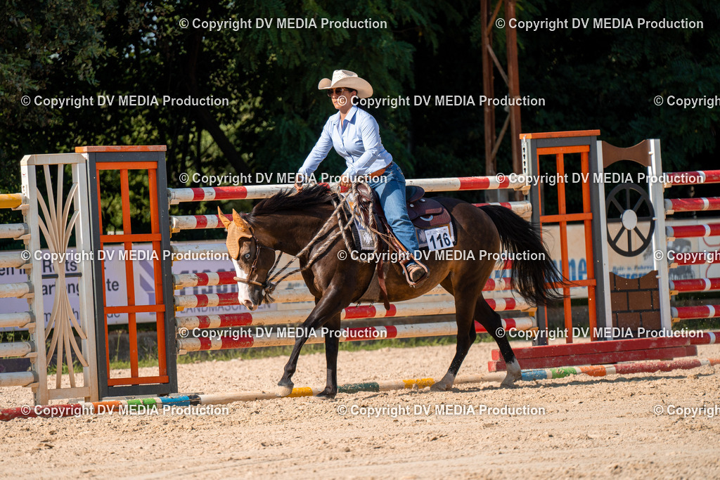 ZH100752 | dv-media-shop - Realisiert mit Pictrs.com