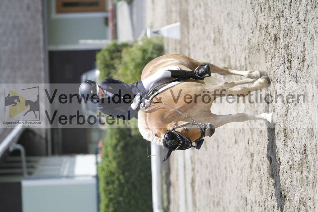 _MG_8593 | equestrian-live-com