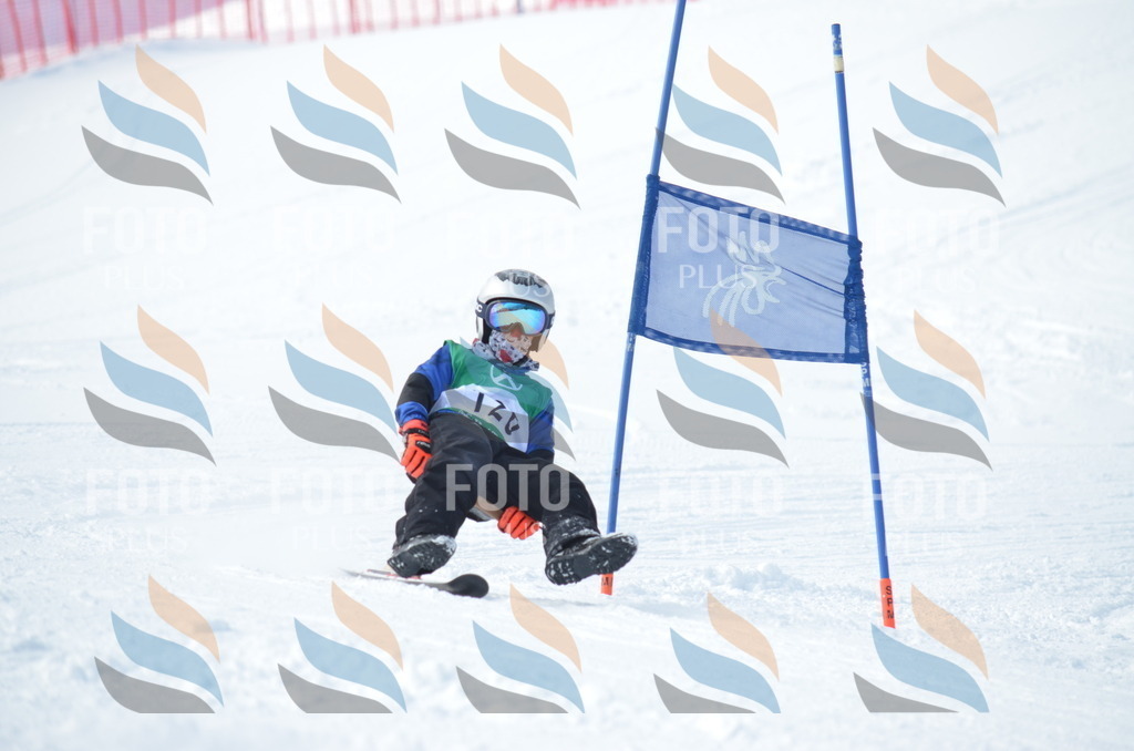 D9260 | holidayphoto