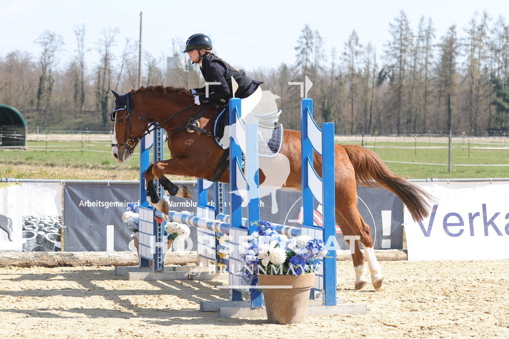 0P6A6585 | Willkommen bei Brunnmayr - Design & Fotografie – Ihrem Spezialisten für Reitturniere und Pferdeveranstaltungen in Oberösterreich, Salzburg und Bayern! Seit über 17 Jahren sind wir leidenschaftlich dabei.