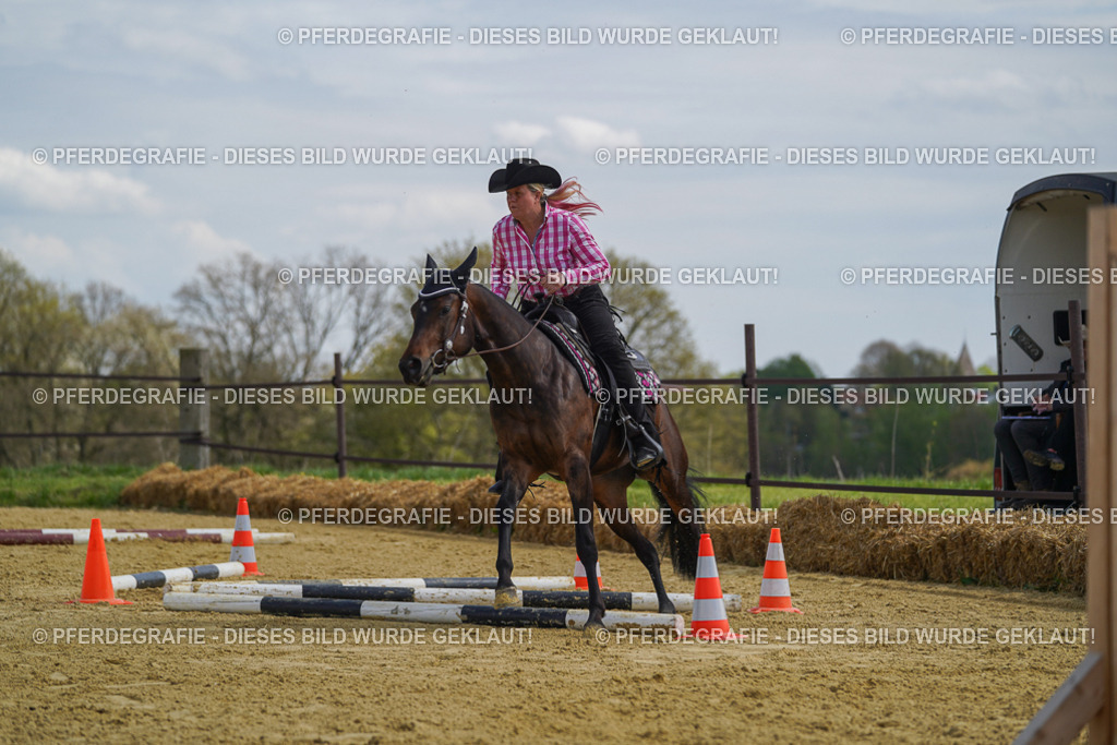 DSC05188 | Pferdegrafie