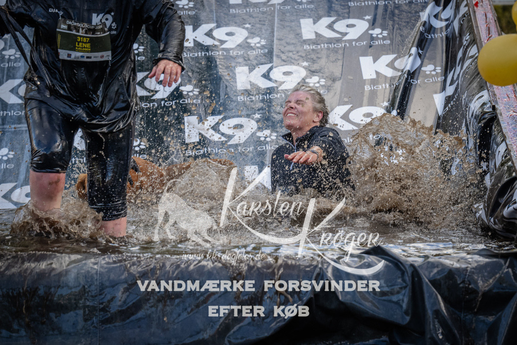 1533_ZZ94915 | kk-dogfotos