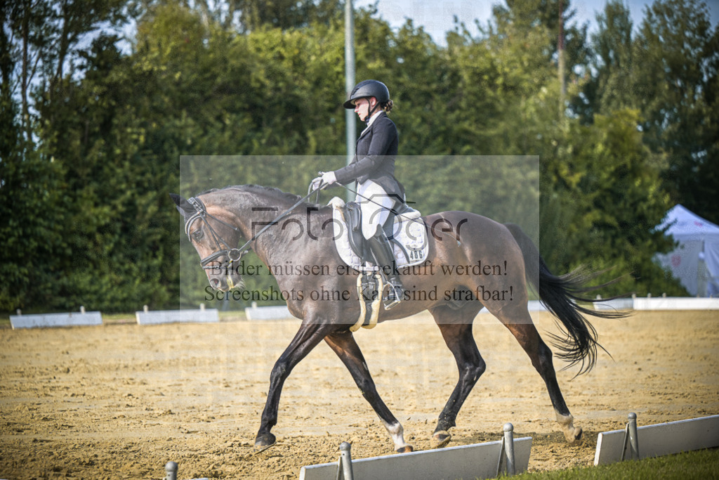 DOS_8626 | Entdecke hochwertige Reitturnierfotos von Foto Oger. Professionell, emotional und authentisch – jetzt Lieblingsmomente im Shop bestellen.Deutschlandweite Turnierfotografie. - Realisiert mit Pictrs.com
