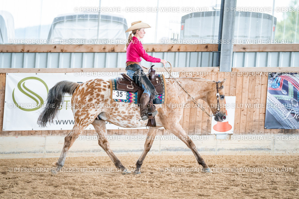 DSC07548 | Pferdegrafie