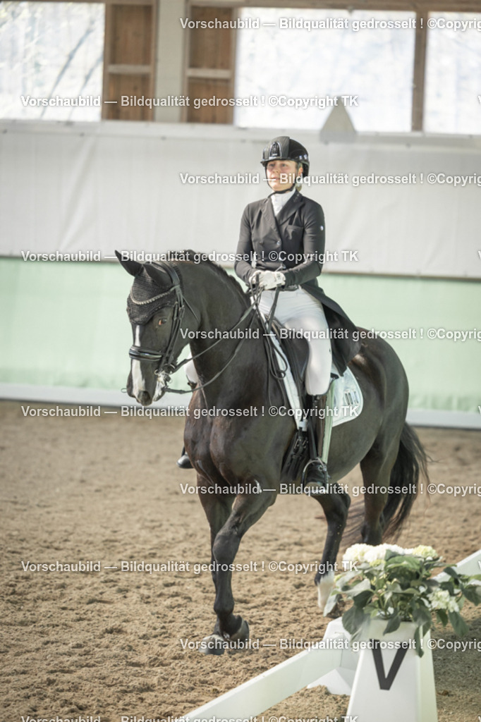 _D5A2082 | Emotionale Pferde- & People-Fotografie rund um Heidelberg, Leimen & Umgebung. Natürliche Fotos von Pferd, Mensch & Familie. Jetzt Termin sichern!