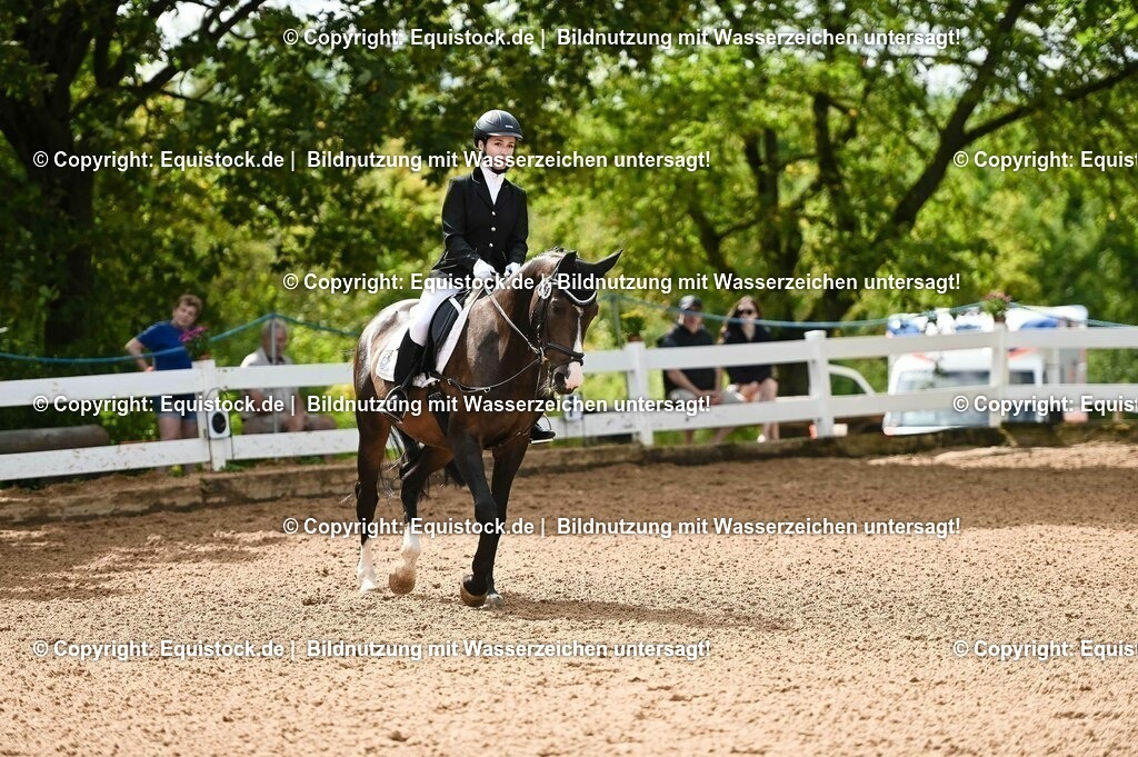 20230716_10-1_Reiter-WB Schritt - Trab - Galopp_0117 | equistock