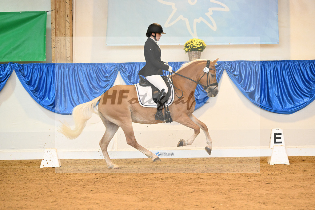 Kat-Nr. 247 Belle Fleur_Stange_54222042 | hf-fotografie - Realizzato con Pictrs.com