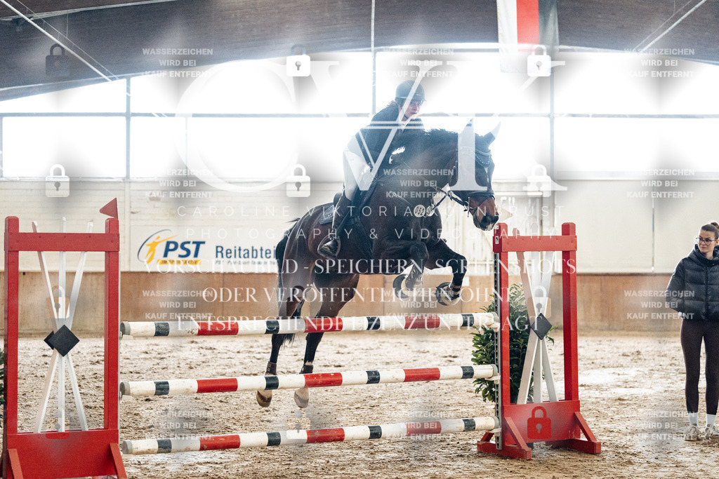 CK906240 | Turnierfotografie Pferdefotografie Trier Rheinland-Pfalz Pferdesport Reitsport Tierfotografie Sportfotografie Pferdevideo Pferdevideografie Equestrianvideography equestrianphotography  - Realisiert mit Pictrs.com