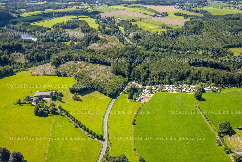 Ennepetal230801631 | Luftbild, Campingplatz Ennepetal Familie Steffen-Mester, Waldgebiet mit Waldschäden und Kahlschlag an der Heilenbecke Talsperre, Rüggeberg, Ennepetal, Ruhrgebiet, Nordrhein-Westfalen, Deutschland