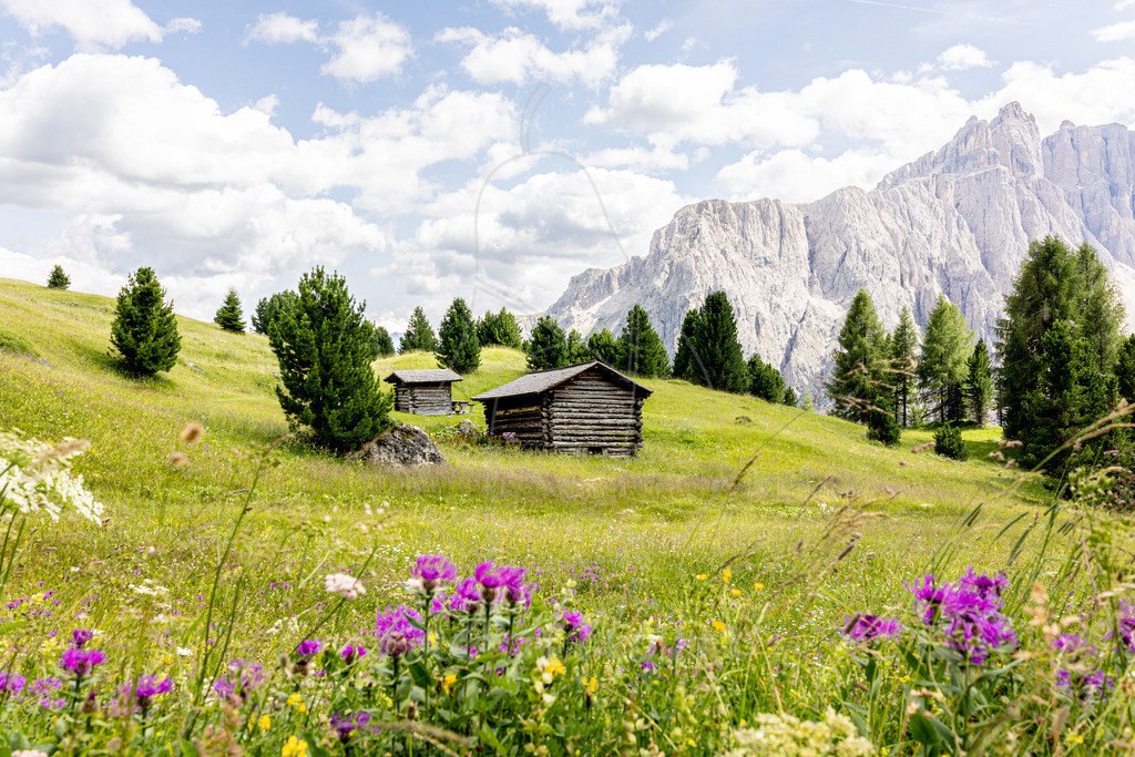 Sommer in Colfosco | Am Fuße des Sassongher in Südtirol - Realisiert mit Pictrs.com