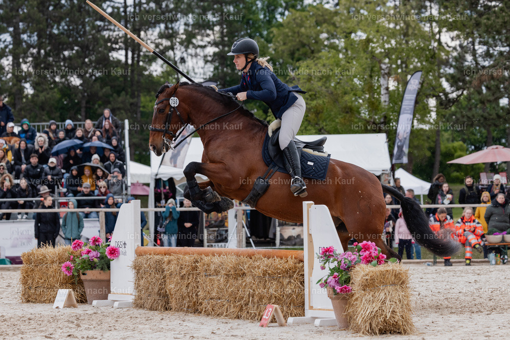 PI26_SP_StoibphotographyC2_C2771.CR3 | working equitationturnier fotograf videograf stoibphotography marixx film working equitation deutschland reitsport turnierfotografie eventfotografie equestrian events