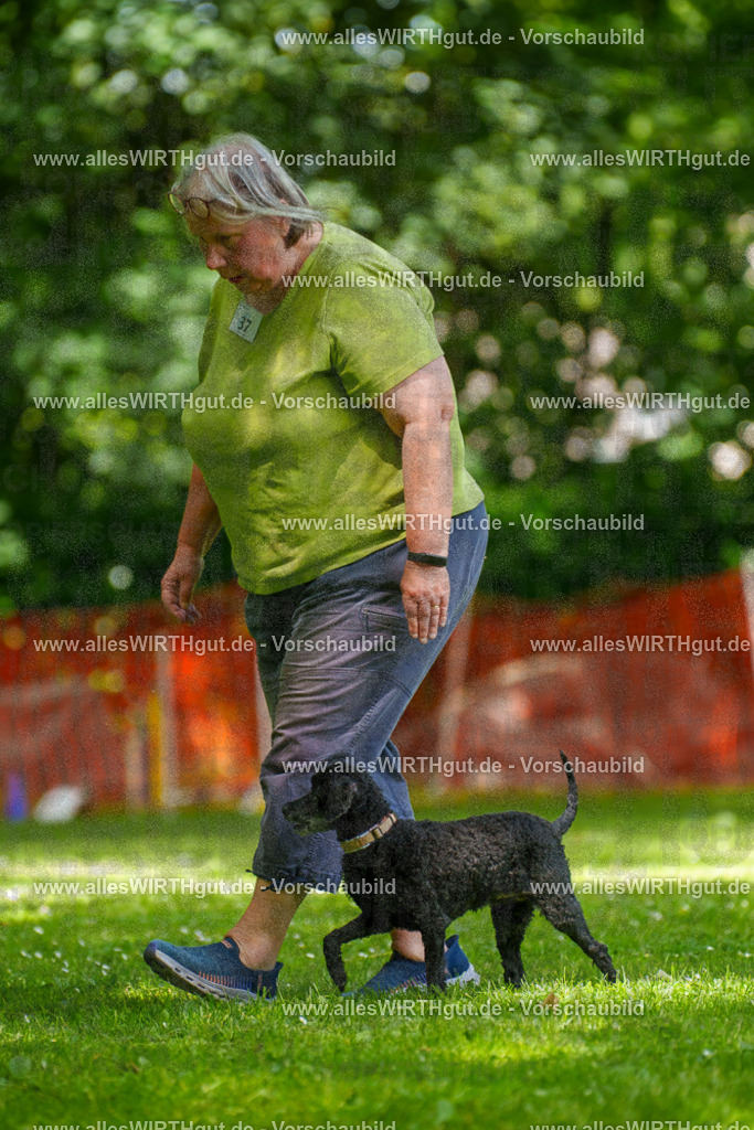 @allesWIRTHgut_Tierfotografie - www.allesWIRTHgut.de - 124942-7R509477 | Professionelle Tierfotografie in Mönchengladbach von Daniel Wirth (allesWIRTHgut). Liebevolle & natürliche Bilder von Hunden & Katzen für unvergessliche Erinnerungen.