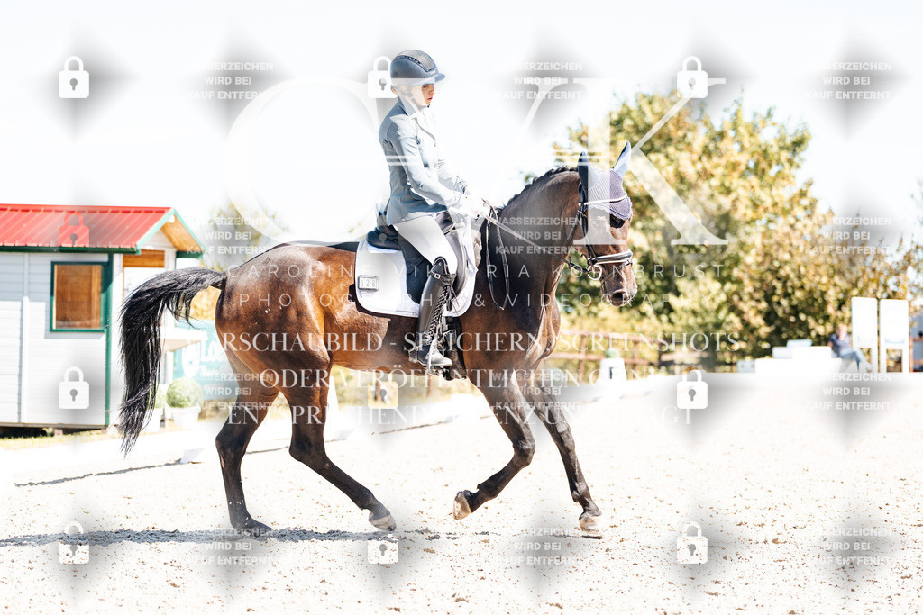CK909825 | Turnierfotografie Pferdefotografie Trier Rheinland-Pfalz Pferdesport Reitsport Tierfotografie Sportfotografie Pferdevideo Pferdevideografie Equestrianvideography equestrianphotography  - Realisiert mit Pictrs.com