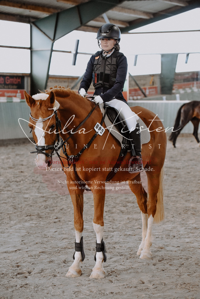 DSC_7494 | Pferde- und Turnierfotografie in Westsachsen. Pferdeportraits, Auftragszeichnungen und intuitive Kunst.