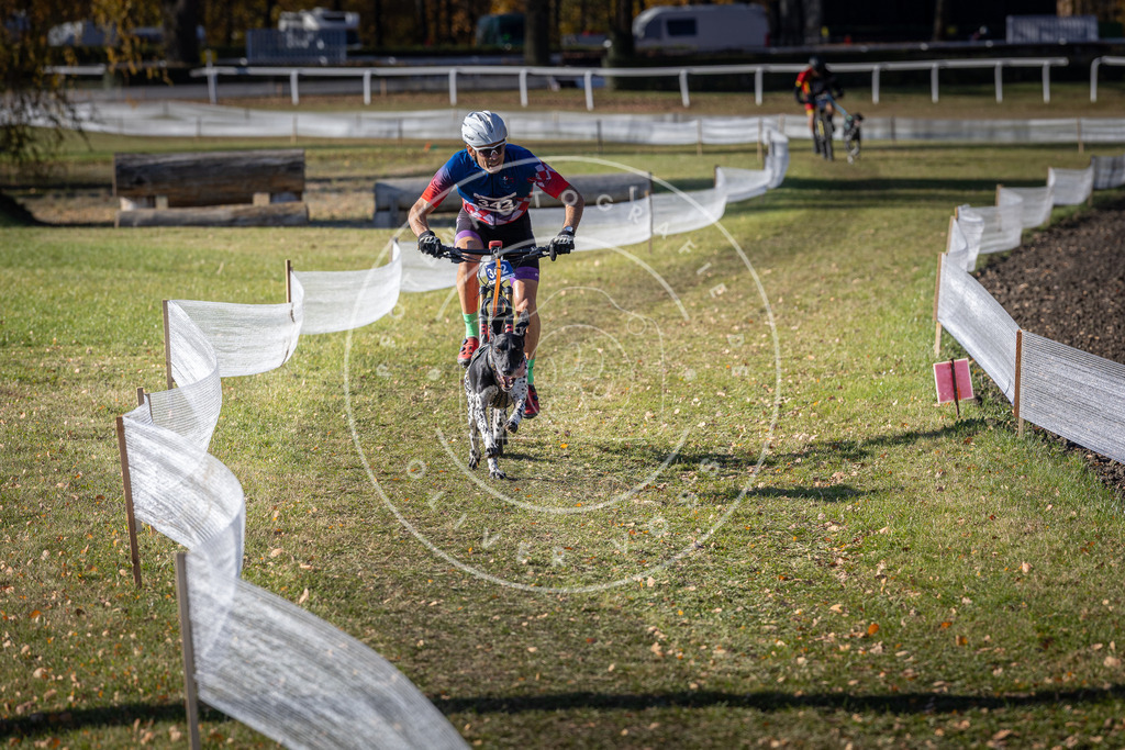CaniXpix_DV3A6969 | Hundefotografie, Tierfotograf, Pfotenfotografie, Fotoshooting Hund, Hunde Portrait, Hundesport, Hundeportraits, Heideshooting, Hunde, Sportfotograf, Hundefotograf, Turnierhundsport, THS,  - Realisiert mit Pictrs.com