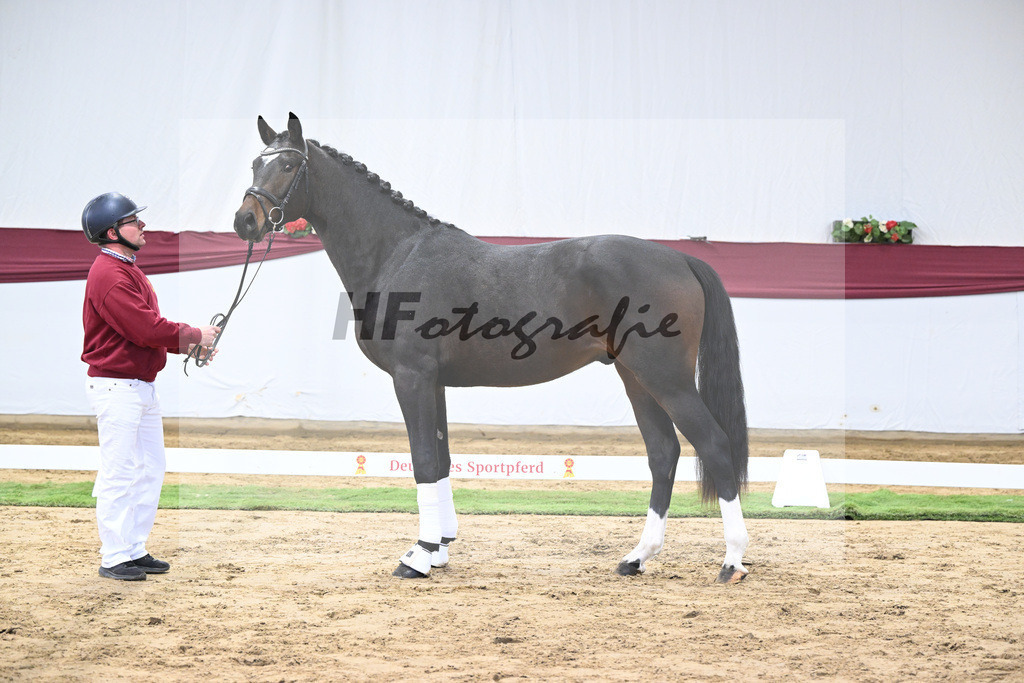 Kat-Nr. 28 Vidar x Zoom_Willi Schneider_47250916 | hf-fotografie - Realisiert mit Pictrs.com