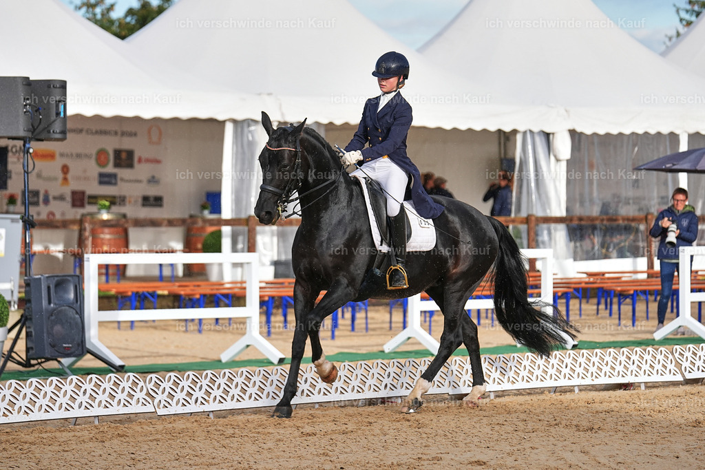 10-033-ST.GEORG SPECIAL -Marixx-3320 | working equitationturnier fotograf videograf stoibphotography marixx film working equitation deutschland reitsport turnierfotografie eventfotografie equestrian events