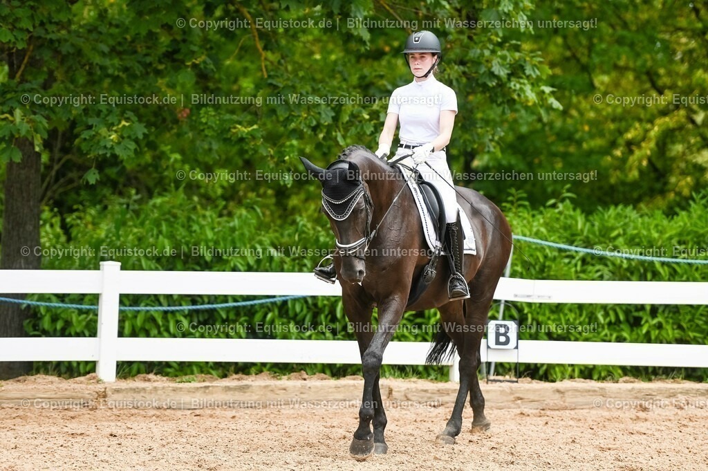 20230715_05_Dressurprüfung Kl.A++_0311 | equistock