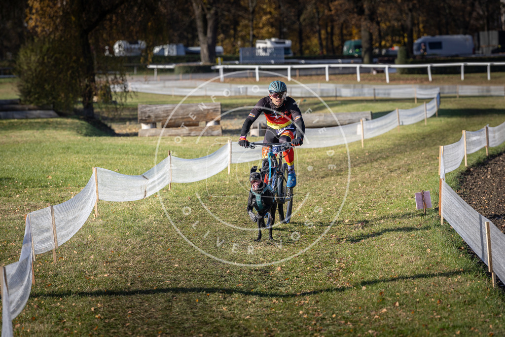 CaniXpix_DV3A3372 | Hundefotografie, Tierfotograf, Pfotenfotografie, Fotoshooting Hund, Hunde Portrait, Hundesport, Hundeportraits, Heideshooting, Hunde, Sportfotograf, Hundefotograf, Turnierhundsport, THS,  - Realisiert mit Pictrs.com